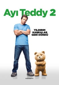 ayi-teddy-2