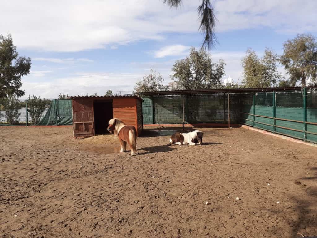 20191224 125705 1 min ATGV Antalya Adalet Teşkilatını Güçlendirme Vakfı Eğitim ve Sosyal Tesisi